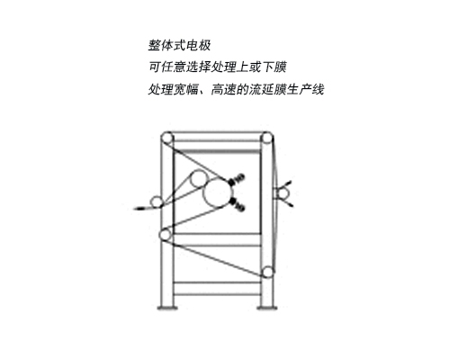 整體式電極